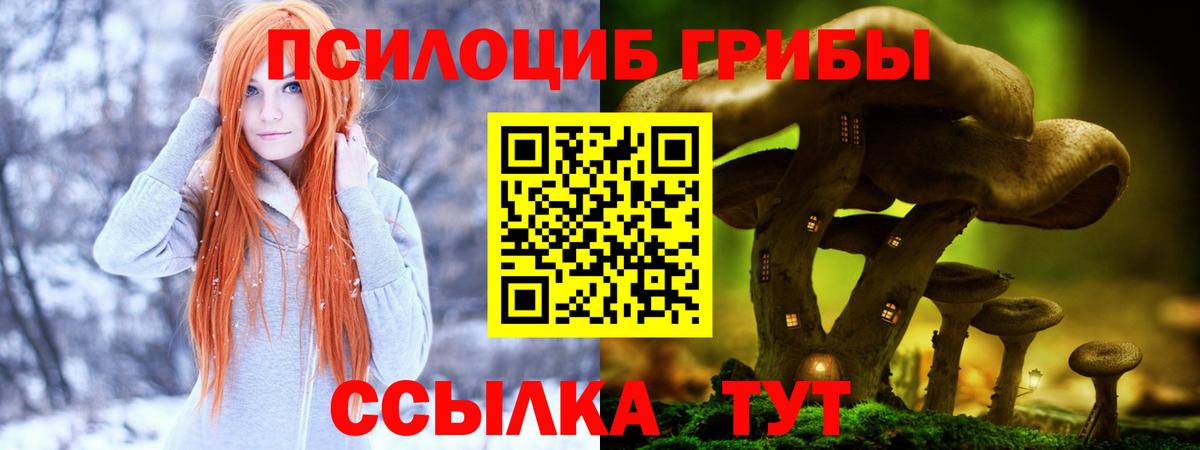 Галлюциногенные грибы мицелий Богородицк