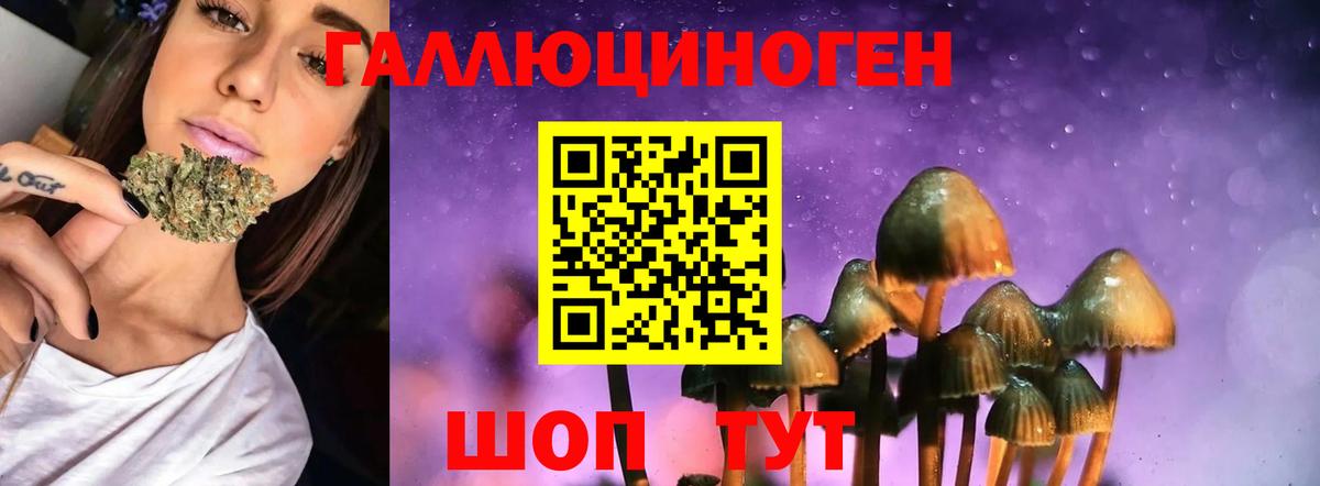 Богородицк  Галлюциногенные грибы мицелий  Вход с VPN 
